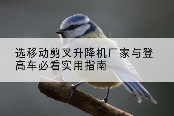 阜康电动升降机厂家-选移动剪叉升降机厂家与登高车必看实用指南