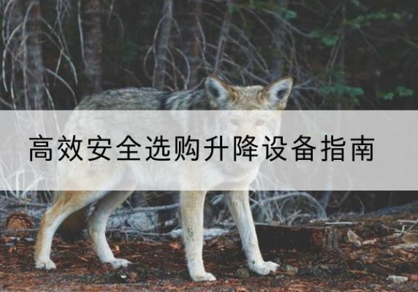 阜康升降货梯厂家推荐-*安全选购升降设备指南