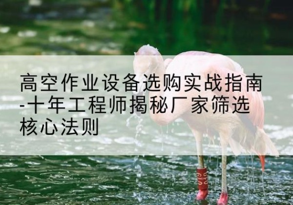 阜康剪叉式升降机厂家-高空作业设备选购实战指南-十年工程师揭秘厂家筛选核心法则